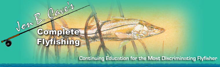 Illustration from Fly-Fishing Od